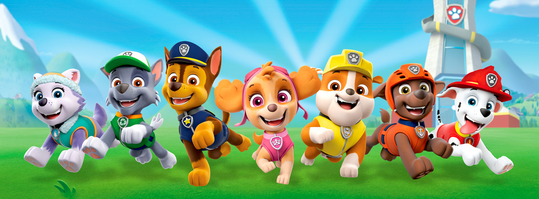 Paw Patrol to the rescue
