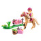 Playmobil Country